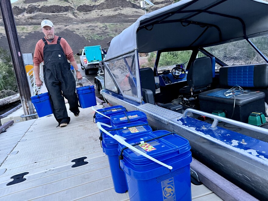 Scientist Bob Mueller carries buckets with newly tagged lamprey to a small research boat. They'll release the fish in the Snake River.