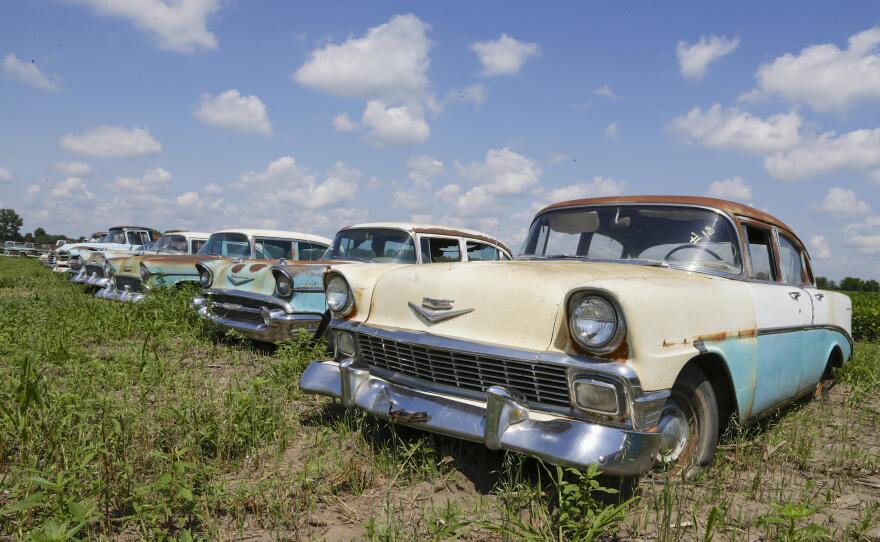 A photo from Aug. 12 shows vintage Chevrolet sedans lined up in a field near the former Lambrecht Chevrolet car dealership in Pierce, Neb. In September, bidders from at least a dozen countries and all 50 U.S. states converged on Pierce for a two-day auction of about 500 old cars and trucks.