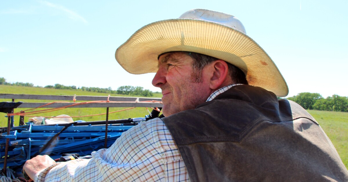 In the fight to save prairies, some Great Plains ranchers embrace a new landscape – with goats