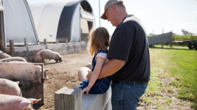 A farmer is holding a young girl on a fence to the left are several white hogs. He man is wearing a black T-shirt and jeans. The photo shows their profile and farm machinery and buildings in the background.