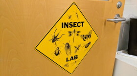 New tools are allowing a group of scientists at the University of New Hampshire to listen in to animal conversations that we didn’t even know were happening before. (Jason Moon/NHPR)