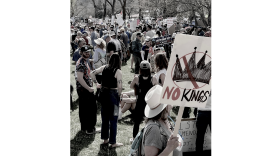 Saturday's No Kings protest