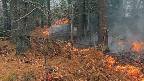 wildfire burning leaf layer