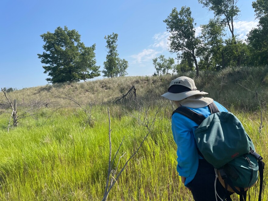 A person with a beige bucket hat and blue jacket carries a backpack while walking through dune grass. 