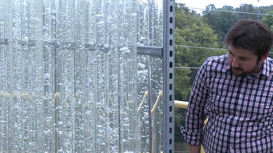 The algae photo-bioreactor converts algae into bio-fertilizer using campus greenhouse gas emissions.