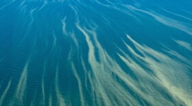 An aerial view of trichodesmium blooms in the Gulf of Mexico.