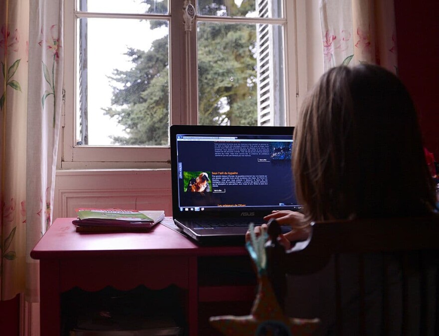 Researchers are getting a boost on their projects from volunteer kids and adults alike. (Alain Jocard/AFP/Getty Images)