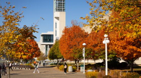 Fall colors on campus