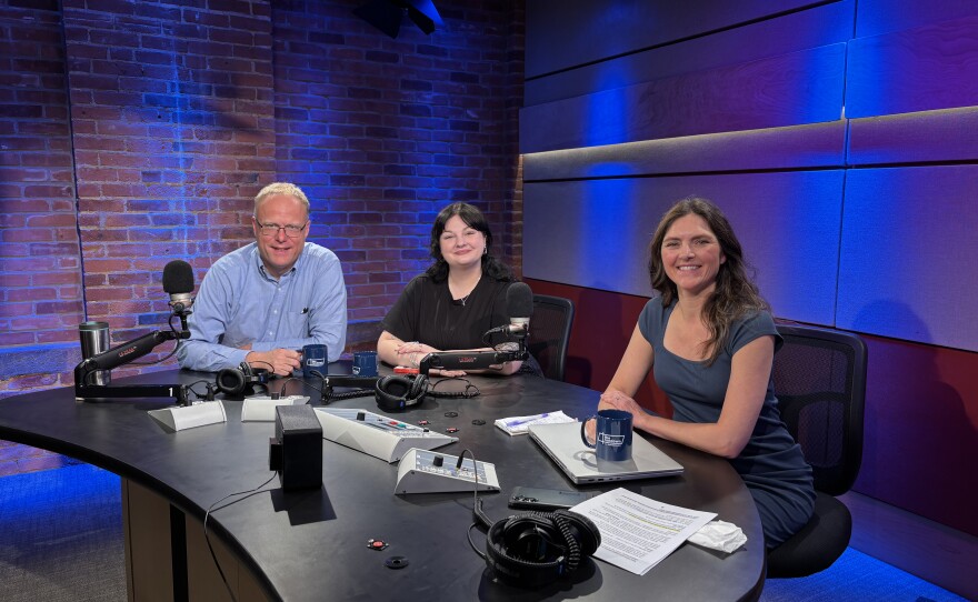 Today's panel for The Rundown includes Greenfield Recorder reporter Erin-Leigh Hoffman; Matt Szafranski [not pictured], editor-in-chief for Western Mass. Politics and Insight; and Springfield Republican reporter Jim Kinney.