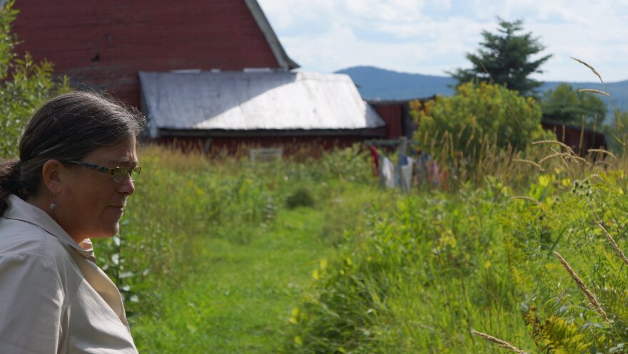 Woman wearing glasses, shot from side, standing in grassy mid summer sunny meadow with barn in background