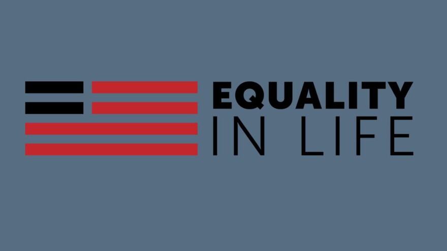 An illustration of the American Flag is beside the words, "Equality in Life." 