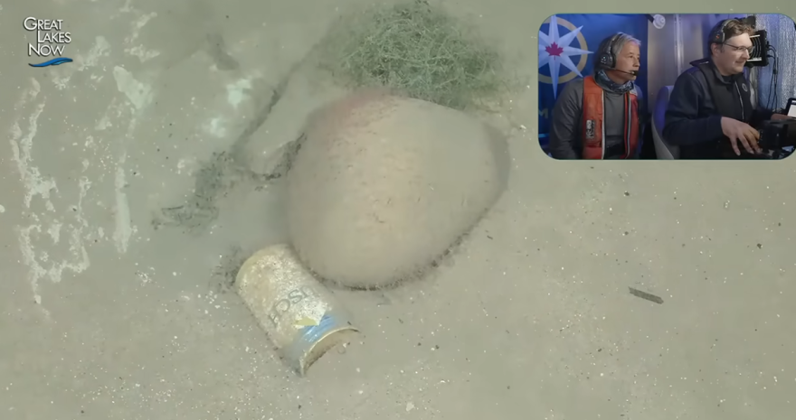Screenshot from a Youtube stream by Great Lakes Now, with Documentarian Zach Melnick (right) and fisheries biologist Shawn Sitar  (left) in the corner, larger image is off dark, sediment-covered lakebed with a rock and Busch beer can covered in small hydra creatures.
