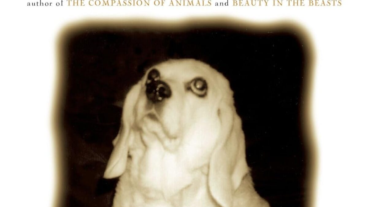 Best of Book Nook: 'For Bea: The Story of the Beagle that Changed my Life' by Kristin von Kreisler