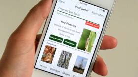 The Purdue Tree Doctor app provides photos so homeowners can determine what is affecting their trees.
