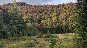 The effort to develop the Vermont Forest Future Strategic Roadmap was authorized by legislation signed into law by Governor Phil Scott in 2022.