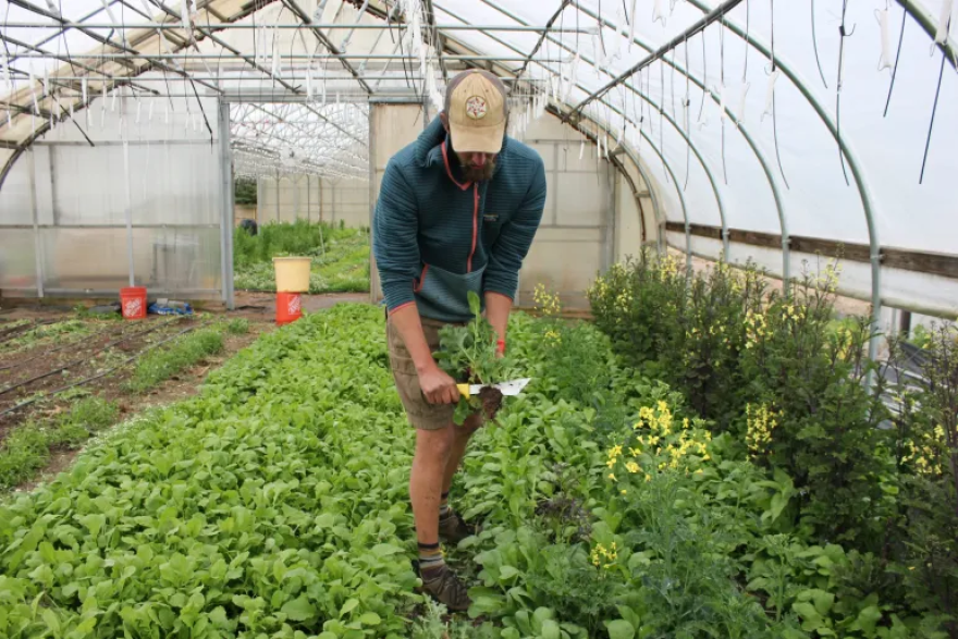 Matthew Went, the co-owner of River Ridge Farm and Market, said it’s “extra challenging” for beginning farmers who have not inherited any land.