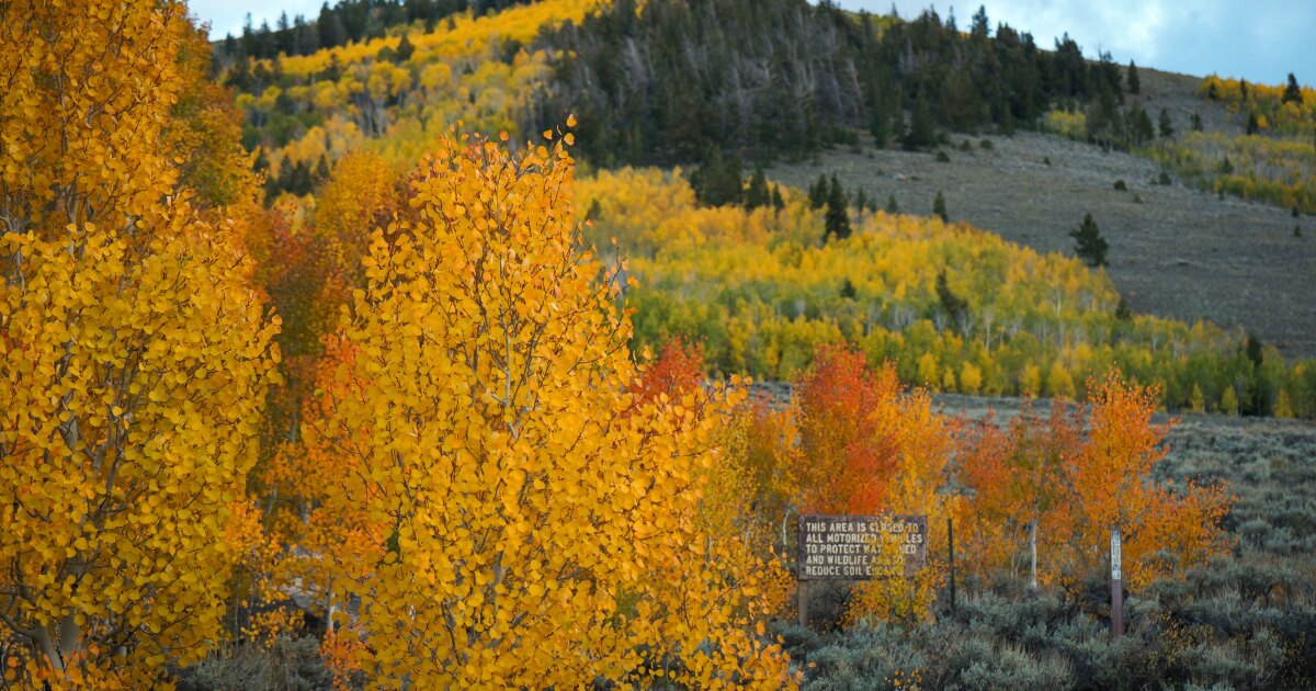 Utah just had its warmest November — and fall — on record