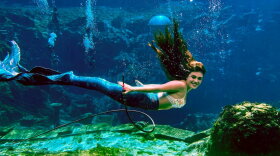 A woman dressed as a mermaid floats in water at Weeki Wachee Springs State Park. 