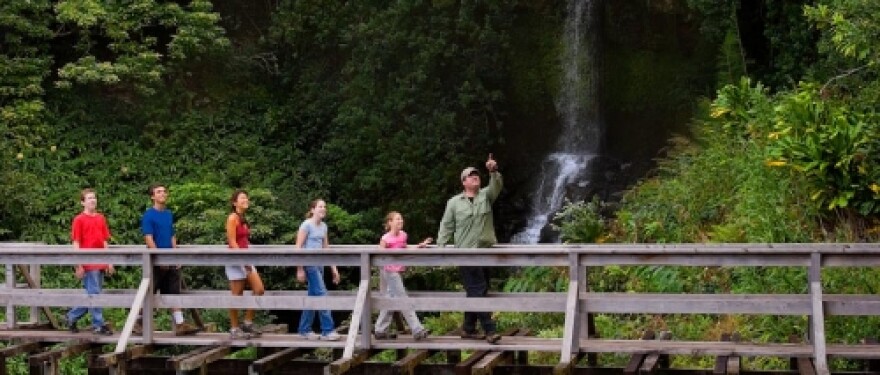 Hawaii Forest & Trail