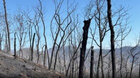 The Jumping Branch Fire has burned at least 175 acres in McDowell County.