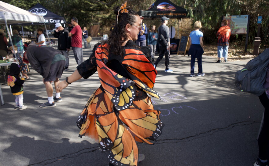 Woman in monarch costume spins. 