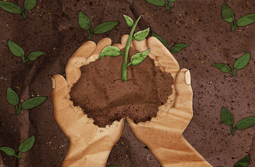 An illustration of two light-skinned hands cupped together holding a hand-full of soil. There is a green plant sprouting from the pile of brown soil the hands are holding. There is brown soil in the background with similar green sprouts. 