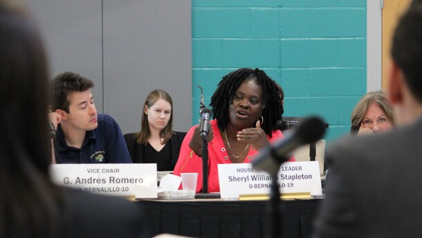 Former New Mexico Rep. Sheryl Williams Stapleton. 