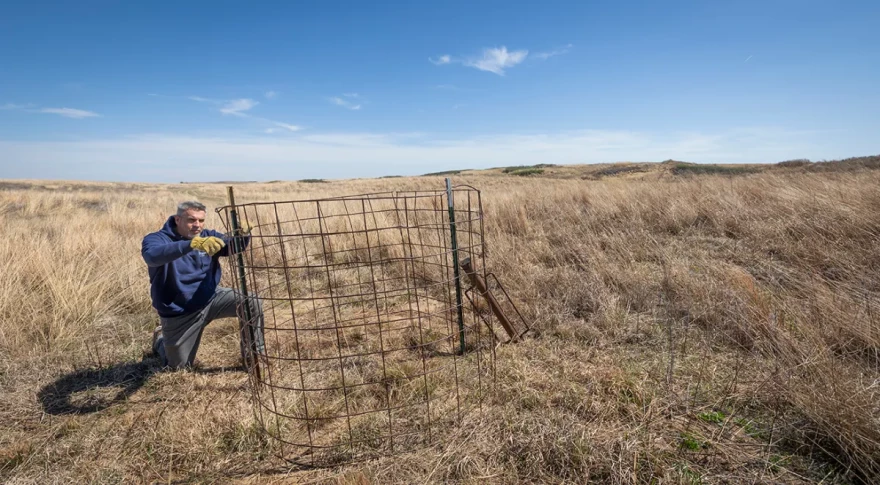 Chris Smith works on a test plot of natural grass at the R9 Ranch, the center of an ongoing battle over water.
