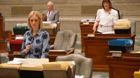 Sens. Lauren Arthur, D-Kansas City, and Jill Schupp, D-Creve Coeur, speak on the Missouri Senate floor on May 15, 2019. Both senators are against legislation that would substantially restrict abortion. 