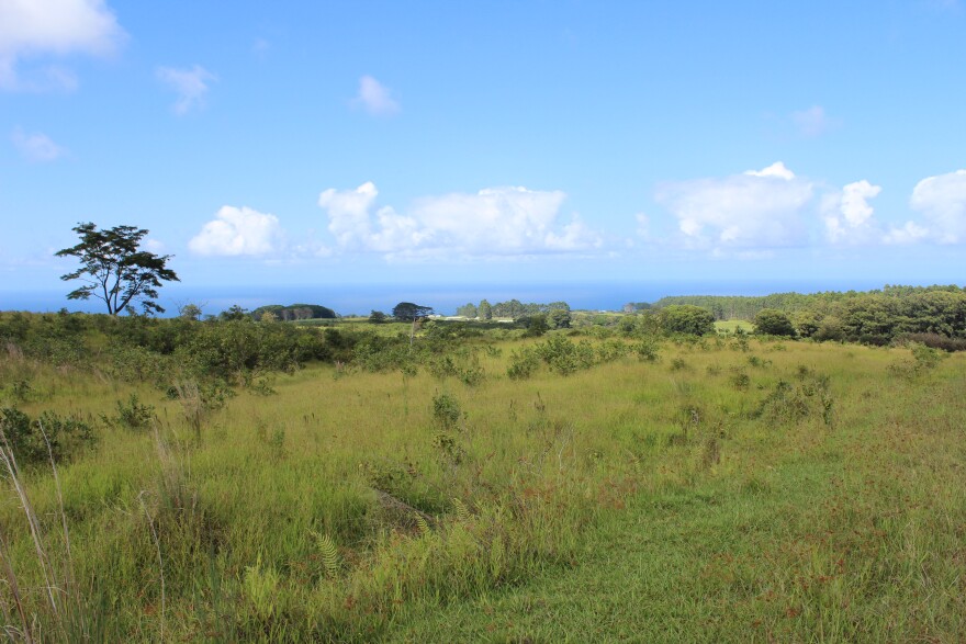 Upon completion, the new Honomū Subsistence Agriculture Homestead Community near Akaka Falls on Hawaiʻi Island will include up to 375 lots for Native Hawaiian beneficiaries of the Hawaiian Home Lands program.