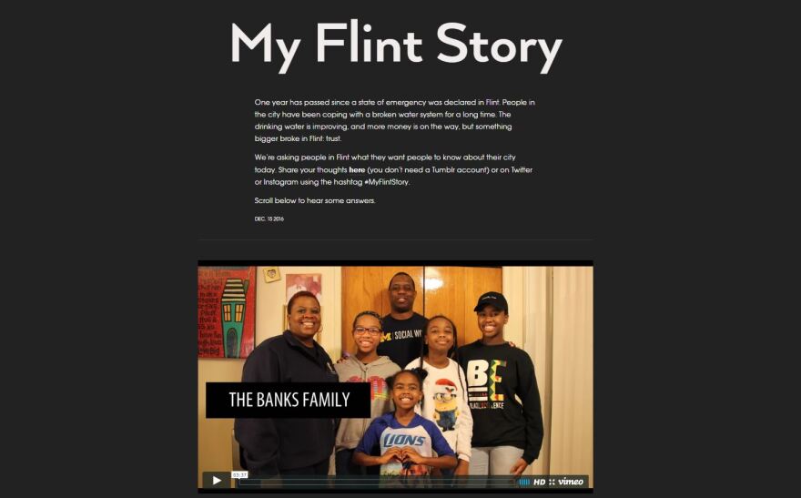 My Flint Story website