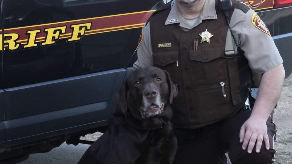Ian Cramer faces four felony charges and a misdemeanor, after an incident where a Mercer County deputy was killed - Vimarsana News