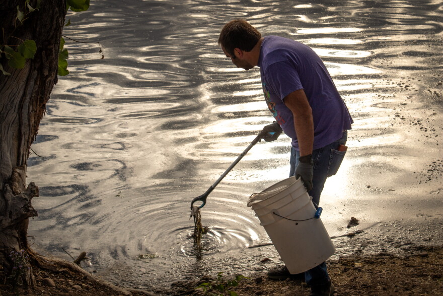 A Plicking volunteer uses a grabber to lift trash out of the 21st Street Pond in Ogden, Sept. 12, 2026.