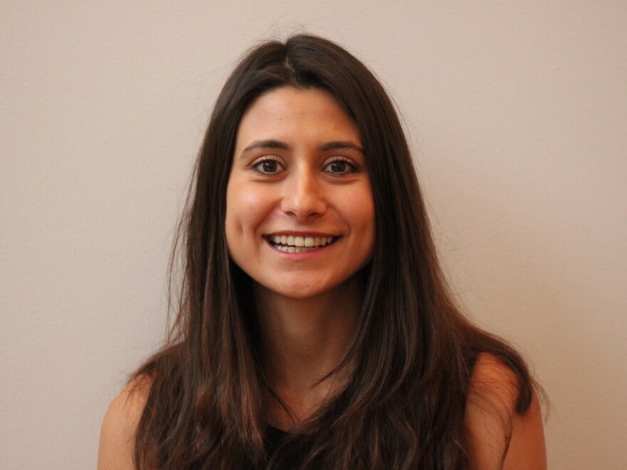 Arwa Mahdawi, creator of Rent-A-Minority.