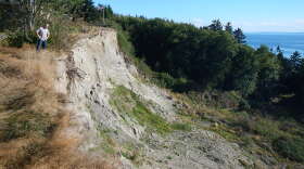 Jim Simon looks over the Ledgewood Beach bluff from the unmowed lawn of a condemned home on Whidbey Island. 