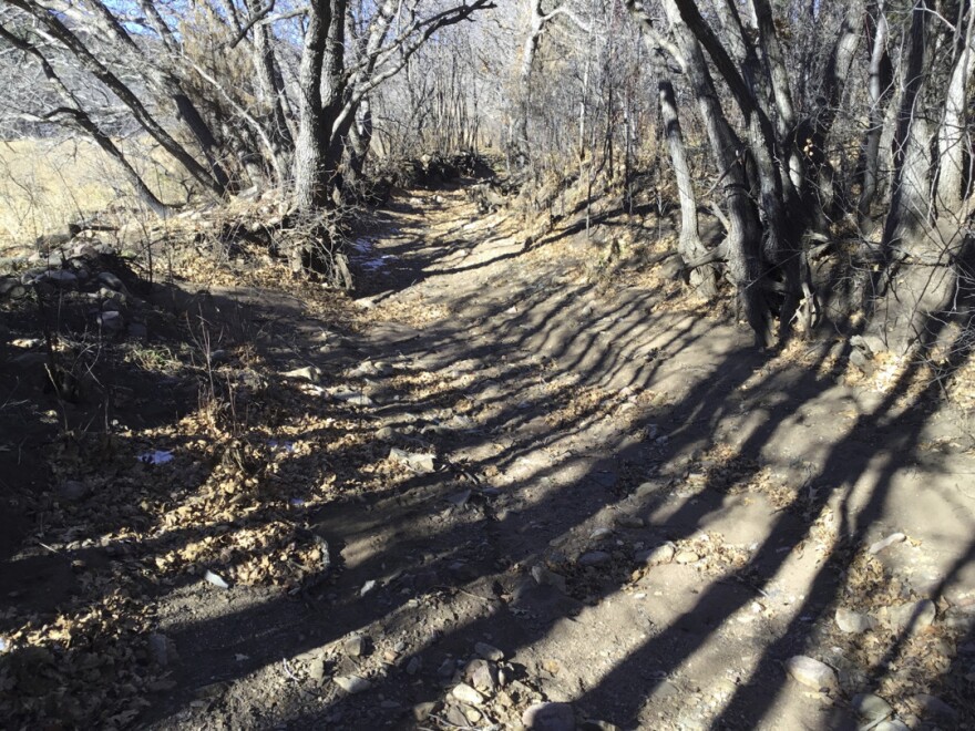 This March 1, 2023, image provided by the New Mexico Department of Transportation shows silt filling the Acequia de Cañoncito from bank to bank near the community of Cleveland, N.M. Crews on Monday, March 6, 2023, began using heavy equipment to remove the debris deposited in the earthen irrigation canal from post-wildfire flooding. The work is usually done by hand by community members each spring but the damage this year was too severe.