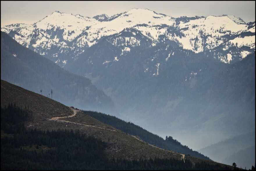 Forest lands near Skykomish, Washington.