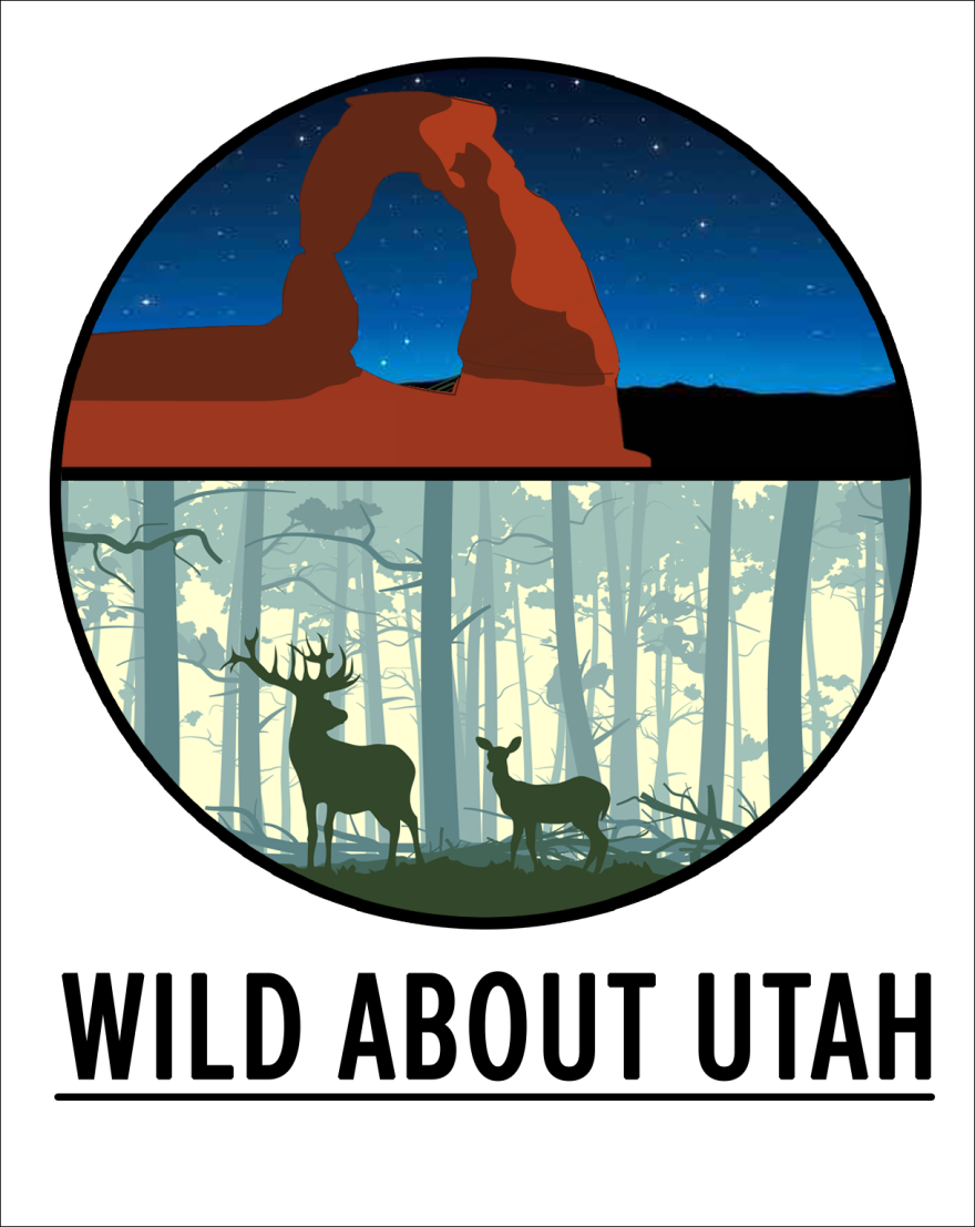 wild_about_utah_3.png