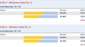 Date from the Volusia County Supervisor of Elections Office on Amendment 3 and 4.