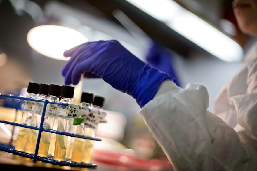 A microbiologist works with tubes of bacteria samples in an antimicrobial resistance and characterization lab within the Infectious Disease Laboratory at the Centers for Disease Control and Prevention in Atlanta in 2013. (David Goldman/AP)