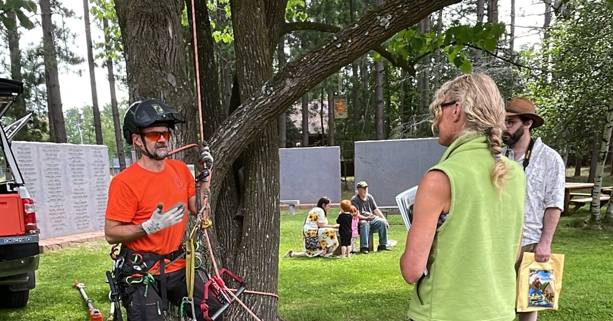 Trees for Tomorrow to host Forest Fest for people to learn all about the timber industry