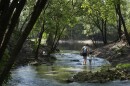 A mother and daughter walk along Royal Spring on Tuesday, July 15, 2025, in Suwannee County, Fla. (AP Photo/Marta Lavandier)