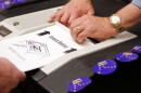 rehm_vote_spot