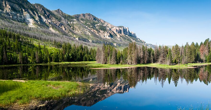 Image - Wyoming.jpg