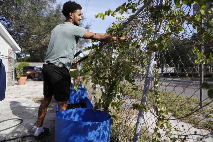Damari, now 17, has completed the Youth Gun Offender Program. A judge dismissed his case. Now he's focused on getting his GED and helping his mom run community gardens. 
