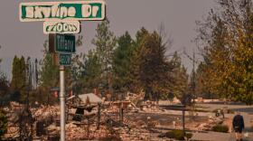 A street sign shows sign of fire damage as a person walks their dog after a wildfire hit the northern part of Spokane, Wash., Monday, Aug. 3, 2026. (Lindsey Wasson/AP)