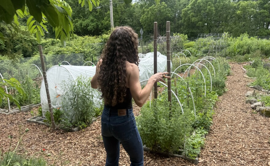 A series of photos from a tour on Lauren Craig's homestead in Xenia, Ohio