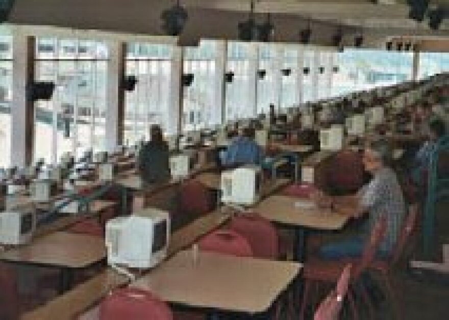 Fans watch the greyhounds run at the Woodlands. Can slots remedy waning attendance?