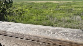 Visitors have carved their names into Paynes Prairie Preserve State Park’s 50-foot-high observation tower. The structure was last rebuilt in 2015 and offers a scenic view of the park.
