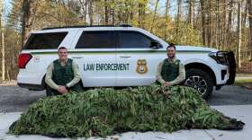 Large Scale Ramp Poaching Operation Busted in Nantahala National Forest as 425 Seized